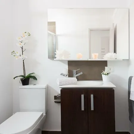 Fairytale In Adeje * 아데제